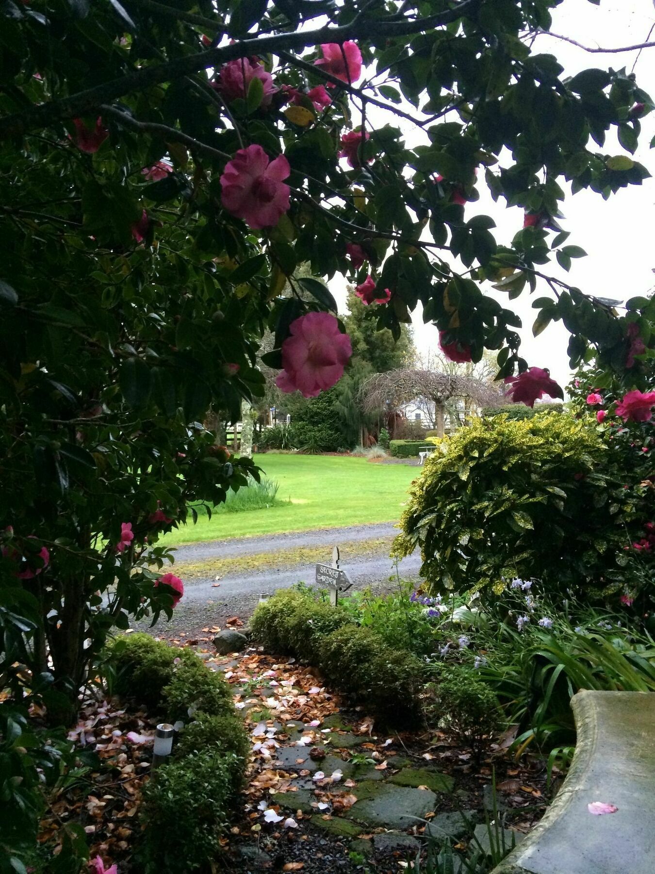 케임브리지 Blairgowrie House B&B 외부 사진