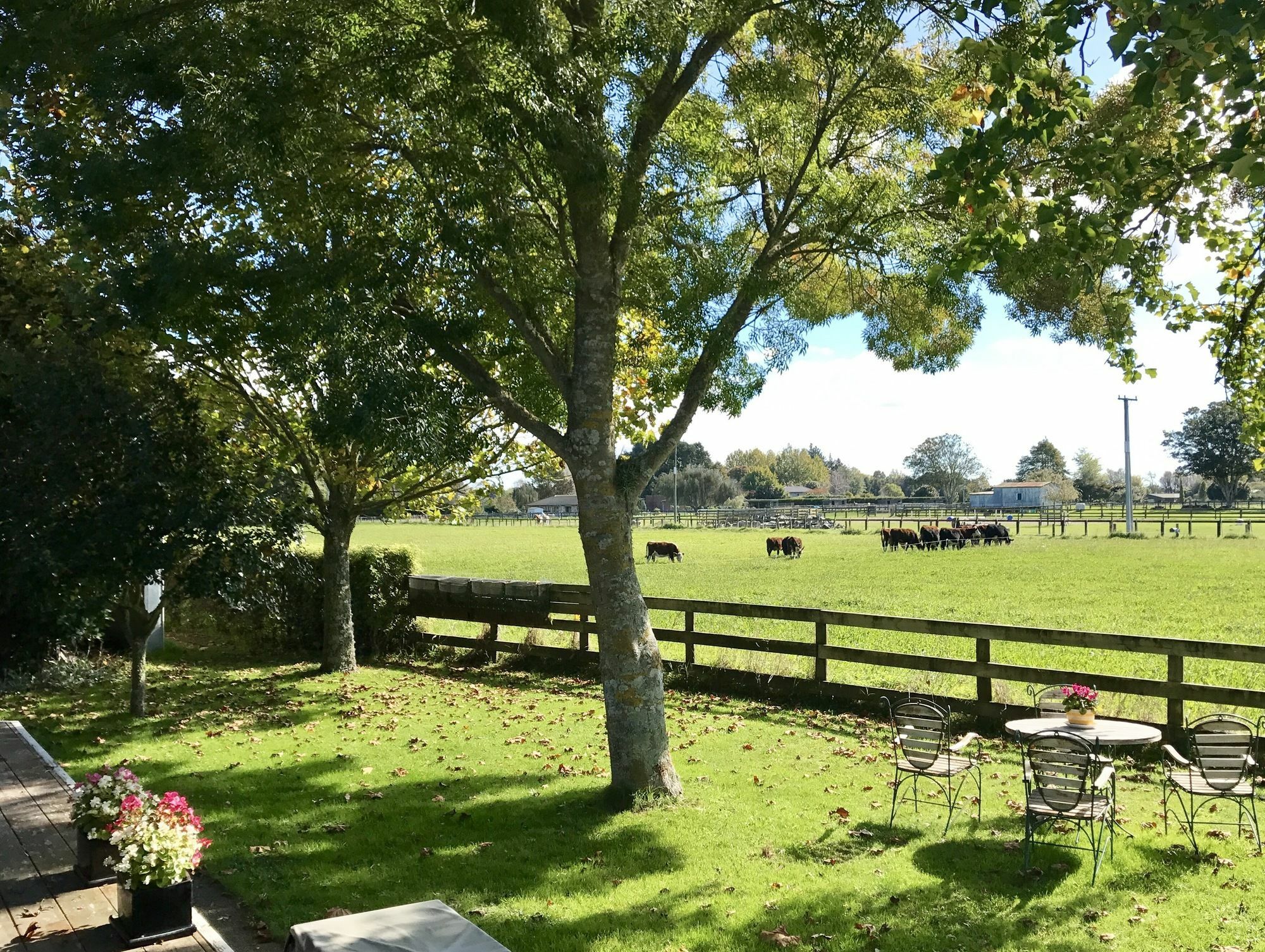 케임브리지 Blairgowrie House B&B 외부 사진